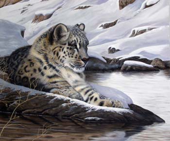 Snow Leopard 1